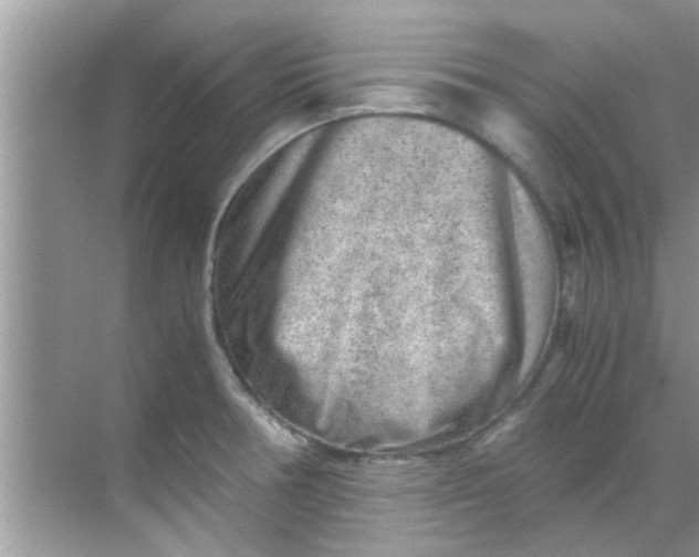 X0000069411378200605262158