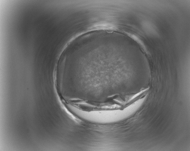 X0000069411383200605262157