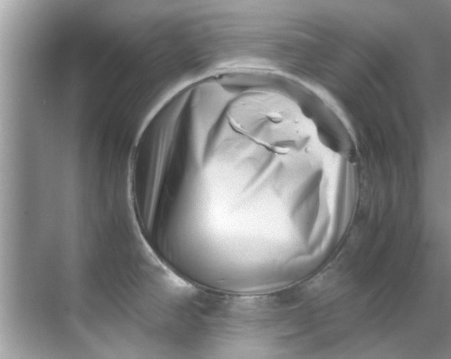 X0000069411390200605262157