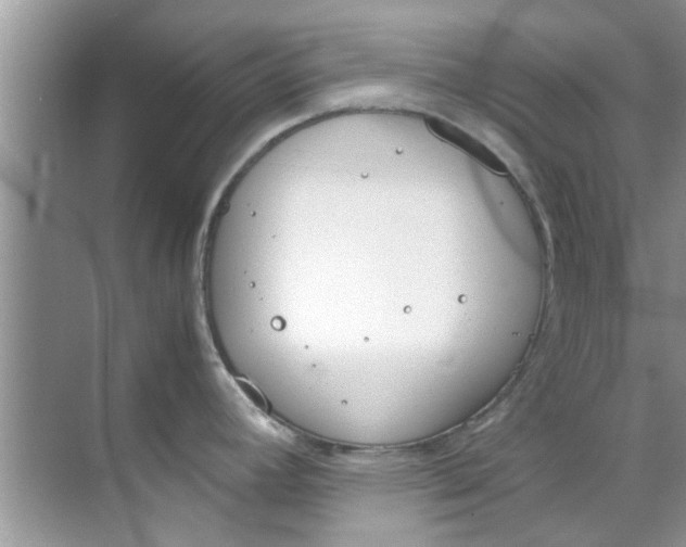 X0000069411392200605262157