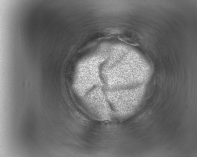 X0000069411393200605262157