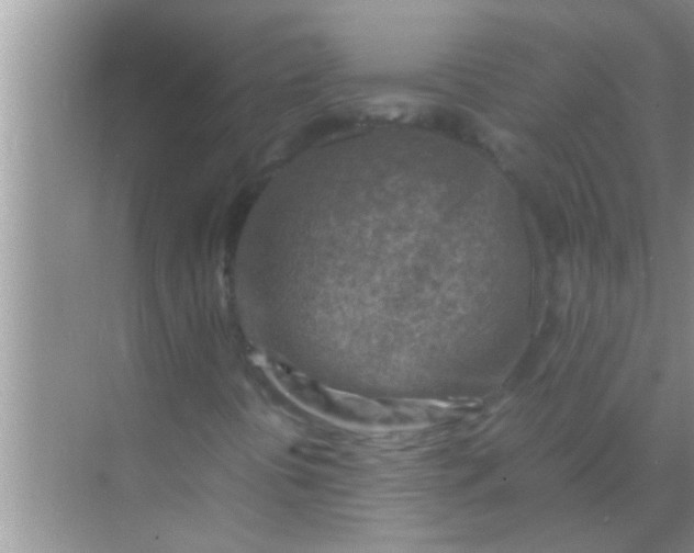 X0000069411394200605262157