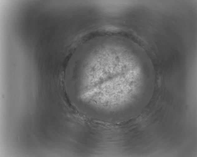 X0000069411397200605262157