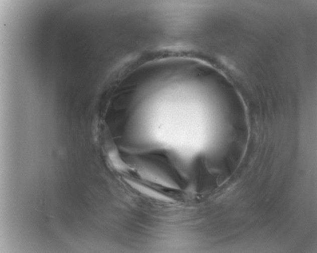 X0000069411398200605262157