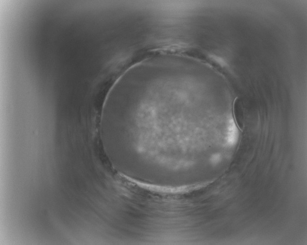 X0000069411399200605262157