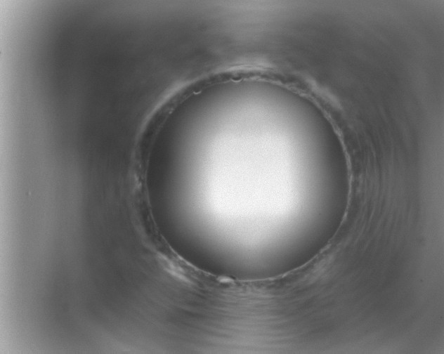 X0000069411400200605262157