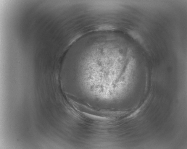 X0000069411401200605262157