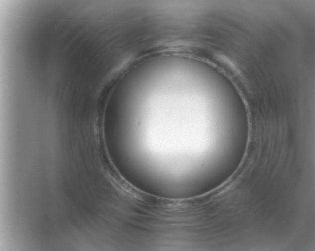 X0000069411403200605262157