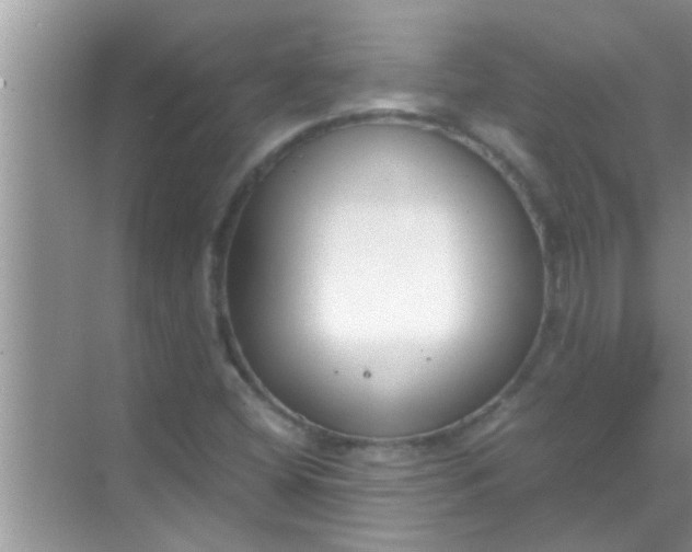 X0000069411404200605262157