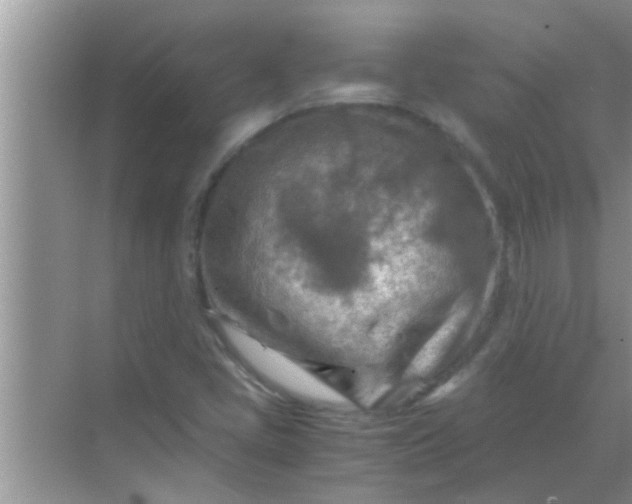 X0000069411405200605262157