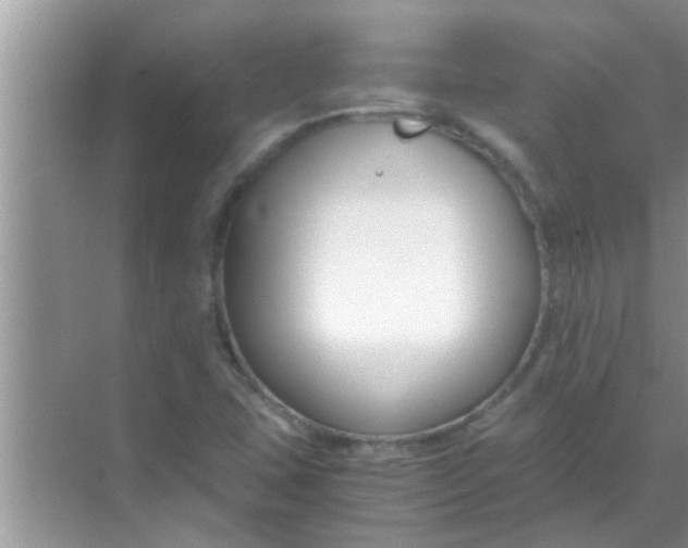 X0000069411407200605262157