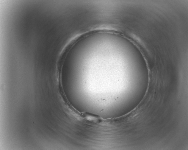 X0000069411408200605262157