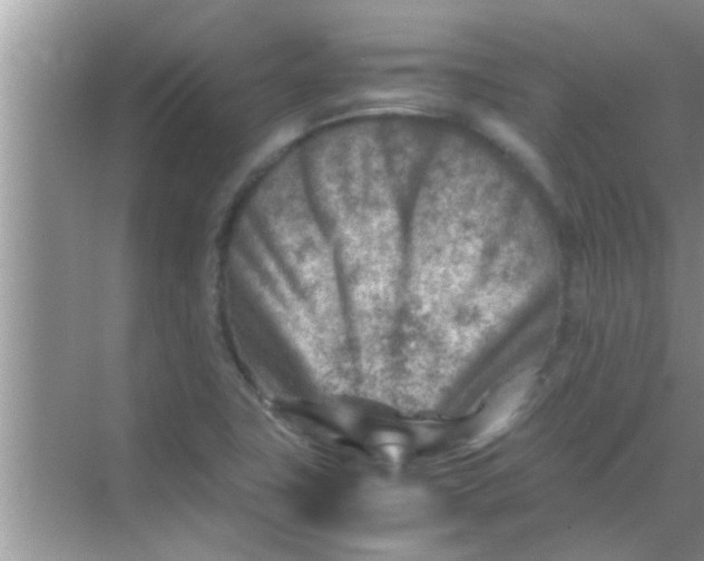 X0000069411411200605262157