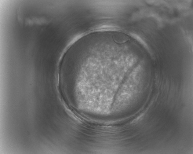 X0000069411413200605262157