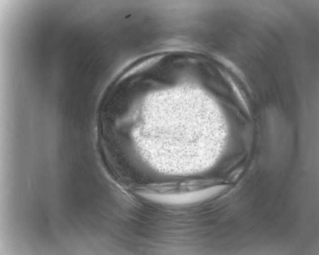 X0000069411415200605262157