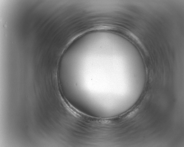 X0000069411417200605262157