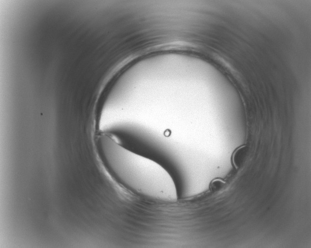 X0000069411418200605262157