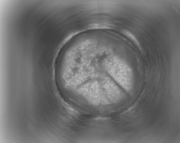 X0000069411419200605262157