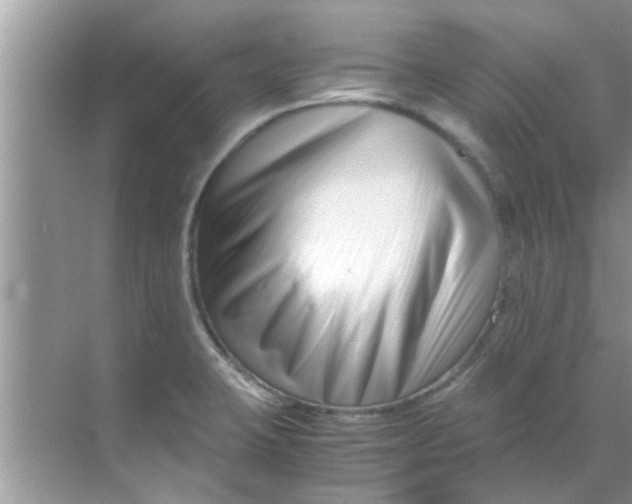 X0000069411423200605262157