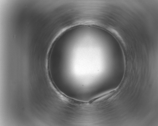 X0000069411424200605262157