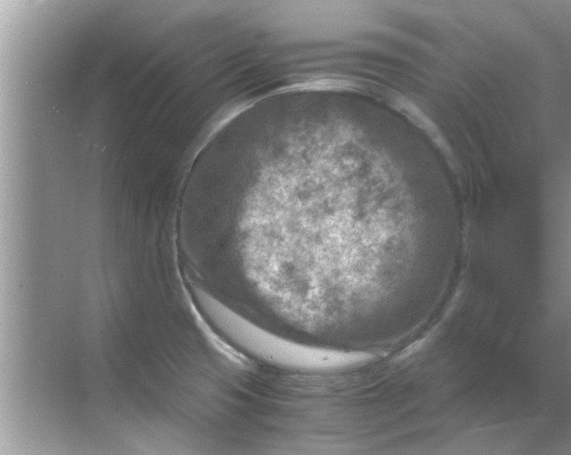 X0000069411425200605262157