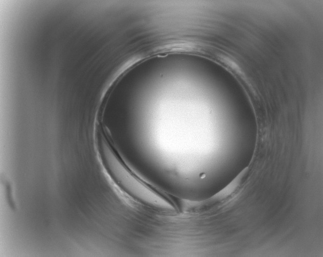 X0000069411426200605262157