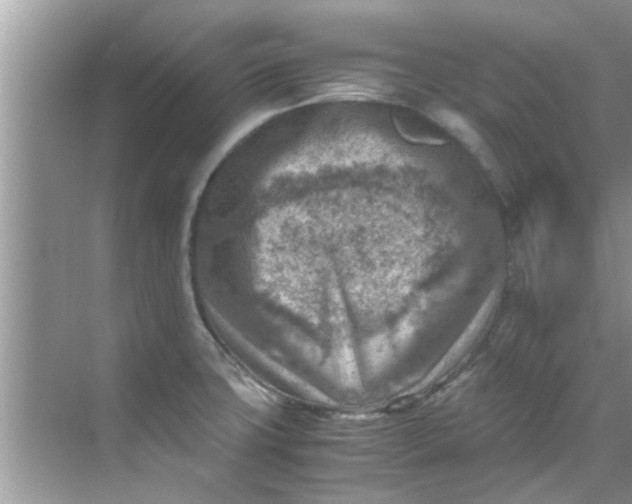 X0000069411427200605262157