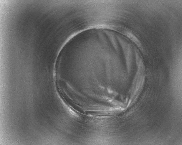 X0000069411428200605262157