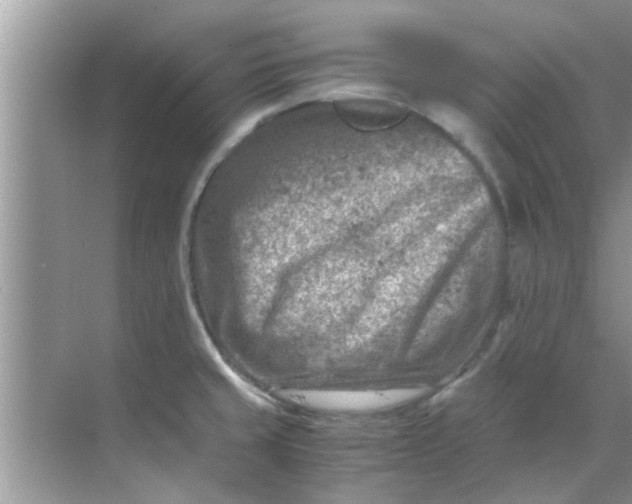 X0000069411429200605262157