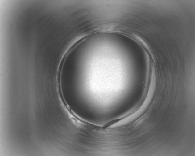 X0000069411434200605262157