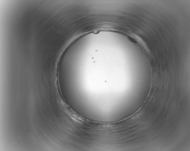 X0000069411435200605262157