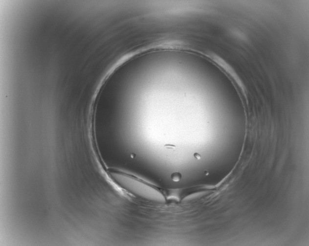 X0000069411437200605262157