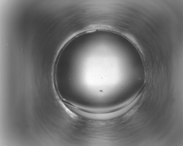 X0000069411438200605262157