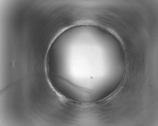 X0000069411440200605262157