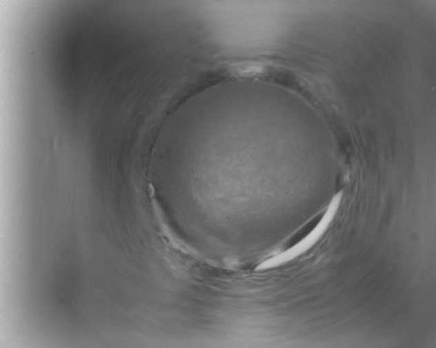 X0000069411441200605262157