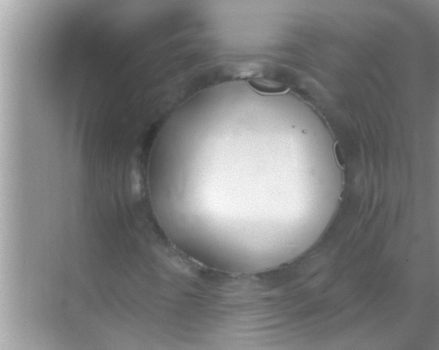 X0000069411442200605262156