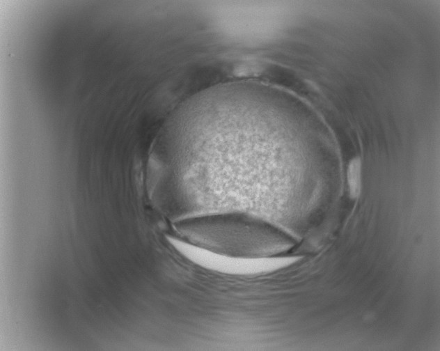 X0000069411443200605262156