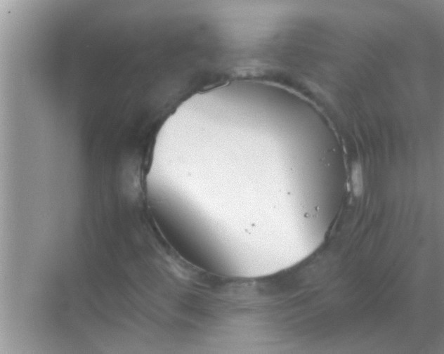 X0000069411444200605262156