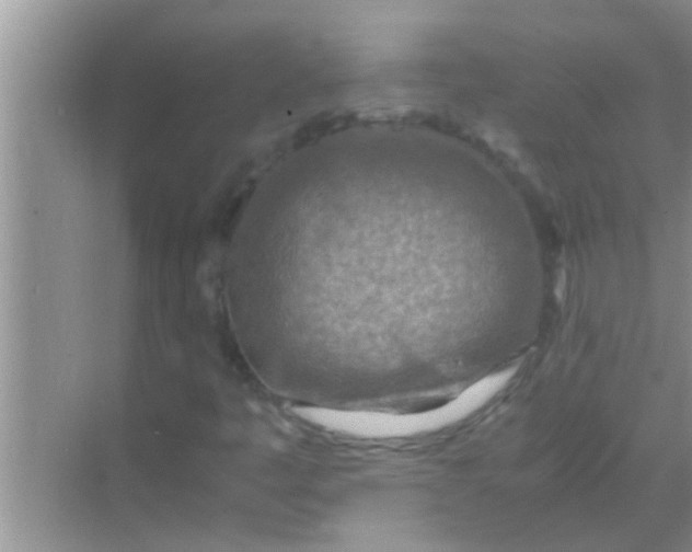 X0000069411445200605262156