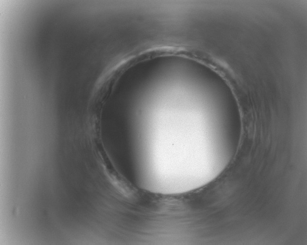 X0000069411448200605262156