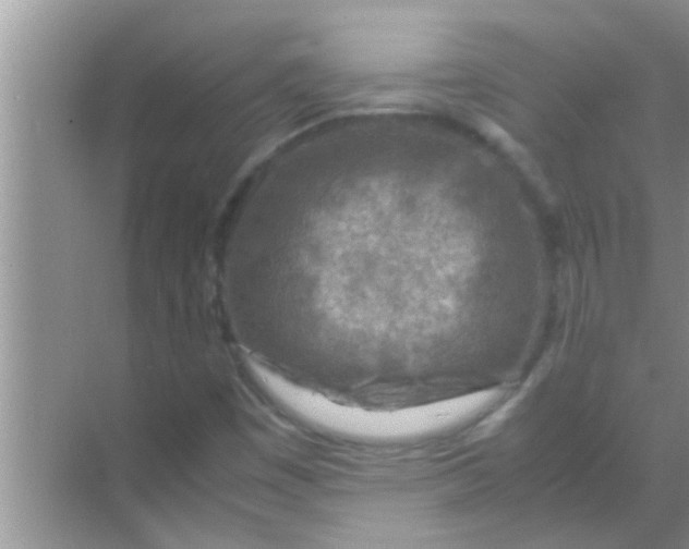 X0000069411449200605262156