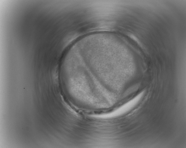 X0000069411450200605262156