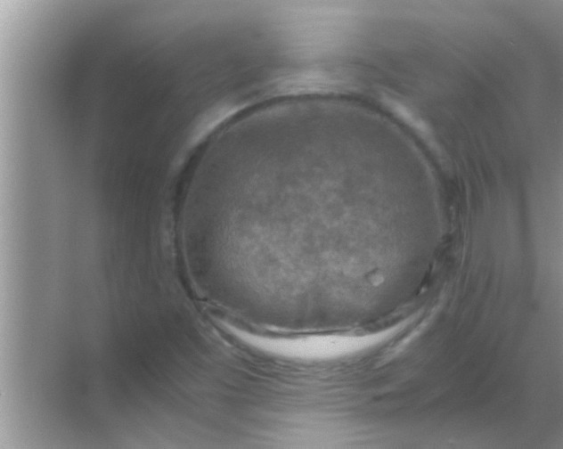 X0000069411453200605262156