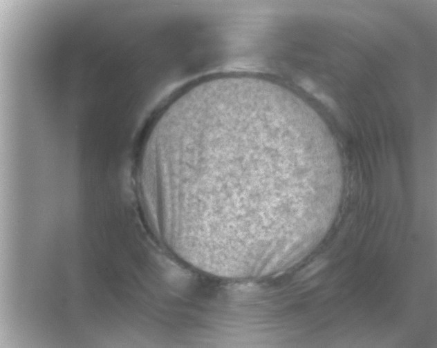 X0000069411454200605262156