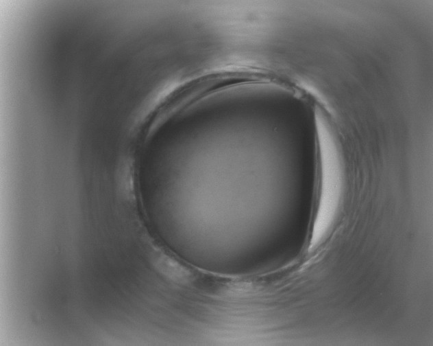 X0000069411455200605262156