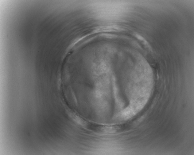 X0000069411457200605262156