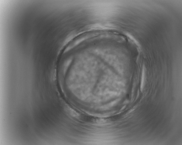 X0000069411459200605262156