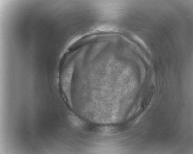 X0000069411461200605262156