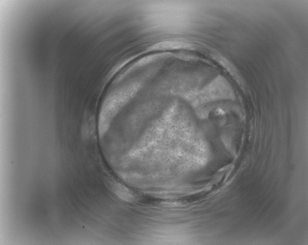 X0000069411465200605262156