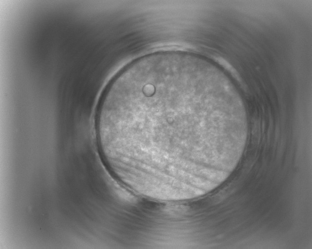 X0000069411466200605262156